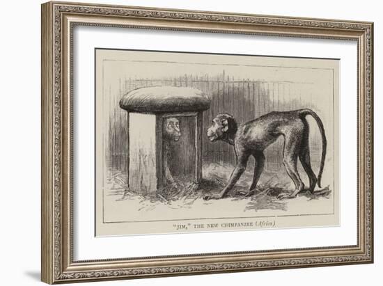 Wanderings in the Zoo-John Charles Dollman-Framed Giclee Print