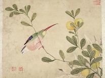 One of a Series of Paintings of Birds and Fruit, Late 19th Century-Wang Guochen-Framed Premium Giclee Print