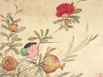 One of a Series of Paintings of Birds and Fruit, Late 19th Century-Wang Guochen-Premier Image Canvas