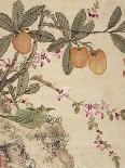 One of a Series of Paintings of Birds and Fruit, Late 19th Century-Wang Guochen-Giclee Print