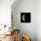 Waning Crescent Moon-Eckhard Slawik-Framed Premier Image Canvas displayed on a wall