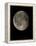 Waning Gibbous Moon-Eckhard Slawik-Framed Premier Image Canvas