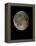 Waning Gibbous Moon-Eckhard Slawik-Framed Premier Image Canvas