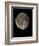 Waning Gibbous Moon-Eckhard Slawik-Framed Premium Photographic Print