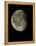 Waning Gibbous Moon-Eckhard Slawik-Framed Premier Image Canvas