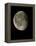 Waning Gibbous Moon-Eckhard Slawik-Framed Premier Image Canvas