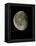 Waning Gibbous Moon-Eckhard Slawik-Framed Premier Image Canvas