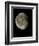 Waning Gibbous Moon-Eckhard Slawik-Framed Premium Photographic Print