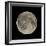 Waning Gibbous Moon-Eckhard Slawik-Framed Premium Photographic Print