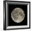 Waning Gibbous Moon-Eckhard Slawik-Framed Premium Photographic Print