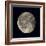 Waning Gibbous Moon-Eckhard Slawik-Framed Premium Photographic Print