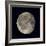 Waning Gibbous Moon-Eckhard Slawik-Framed Premium Photographic Print