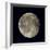 Waning Gibbous Moon-Eckhard Slawik-Framed Premium Photographic Print