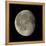 Waning Gibbous Moon-Eckhard Slawik-Framed Premier Image Canvas