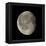 Waning Gibbous Moon-Eckhard Slawik-Framed Premier Image Canvas