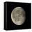 Waning Gibbous Moon-Eckhard Slawik-Framed Premier Image Canvas