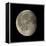 Waning Gibbous Moon-Eckhard Slawik-Framed Premier Image Canvas