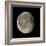 Waning Gibbous Moon-Eckhard Slawik-Framed Premium Photographic Print