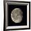 Waning Gibbous Moon-Eckhard Slawik-Framed Premium Photographic Print