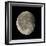 Waning Gibbous Moon-Eckhard Slawik-Framed Premium Photographic Print