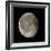 Waning Gibbous Moon-Eckhard Slawik-Framed Premium Photographic Print