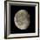 Waning Gibbous Moon-Eckhard Slawik-Framed Premium Photographic Print