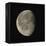 Waning Gibbous Moon-Eckhard Slawik-Framed Premier Image Canvas