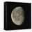 Waning Gibbous Moon-Eckhard Slawik-Framed Premier Image Canvas