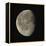 Waning Gibbous Moon-Eckhard Slawik-Framed Premier Image Canvas