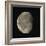 Waning Gibbous Moon-Eckhard Slawik-Framed Premium Photographic Print