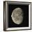 Waning Gibbous Moon-Eckhard Slawik-Framed Premium Photographic Print