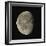 Waning Gibbous Moon-Eckhard Slawik-Framed Premium Photographic Print