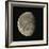 Waning Gibbous Moon-Eckhard Slawik-Framed Premium Photographic Print