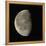 Waning Gibbous Moon-Eckhard Slawik-Framed Premier Image Canvas