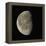 Waning Gibbous Moon-Eckhard Slawik-Framed Premier Image Canvas