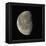 Waning Gibbous Moon-Eckhard Slawik-Framed Premier Image Canvas