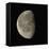 Waning Gibbous Moon-Eckhard Slawik-Framed Premier Image Canvas