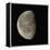 Waning Gibbous Moon-Eckhard Slawik-Framed Premier Image Canvas