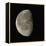 Waning Gibbous Moon-Eckhard Slawik-Framed Premier Image Canvas