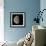 Waning Gibbous Moon-Eckhard Slawik-Framed Premium Photographic Print displayed on a wall