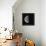 Waning Gibbous Moon-Eckhard Slawik-Framed Premier Image Canvas displayed on a wall