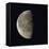 Waning Gibbous Moon-Eckhard Slawik-Framed Premier Image Canvas