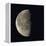 Waning Gibbous Moon-Eckhard Slawik-Framed Premier Image Canvas