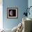 Waning Gibbous Moon-Eckhard Slawik-Framed Premium Photographic Print displayed on a wall