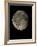 Waning Gibbous Moon-Eckhard Slawik-Framed Photographic Print