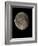 Waning Gibbous Moon-Eckhard Slawik-Framed Photographic Print