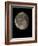 Waning Gibbous Moon-Eckhard Slawik-Framed Photographic Print