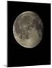 Waning Gibbous Moon-Eckhard Slawik-Mounted Photographic Print