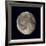 Waning Gibbous Moon-Eckhard Slawik-Framed Photographic Print