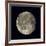 Waning Gibbous Moon-Eckhard Slawik-Framed Photographic Print